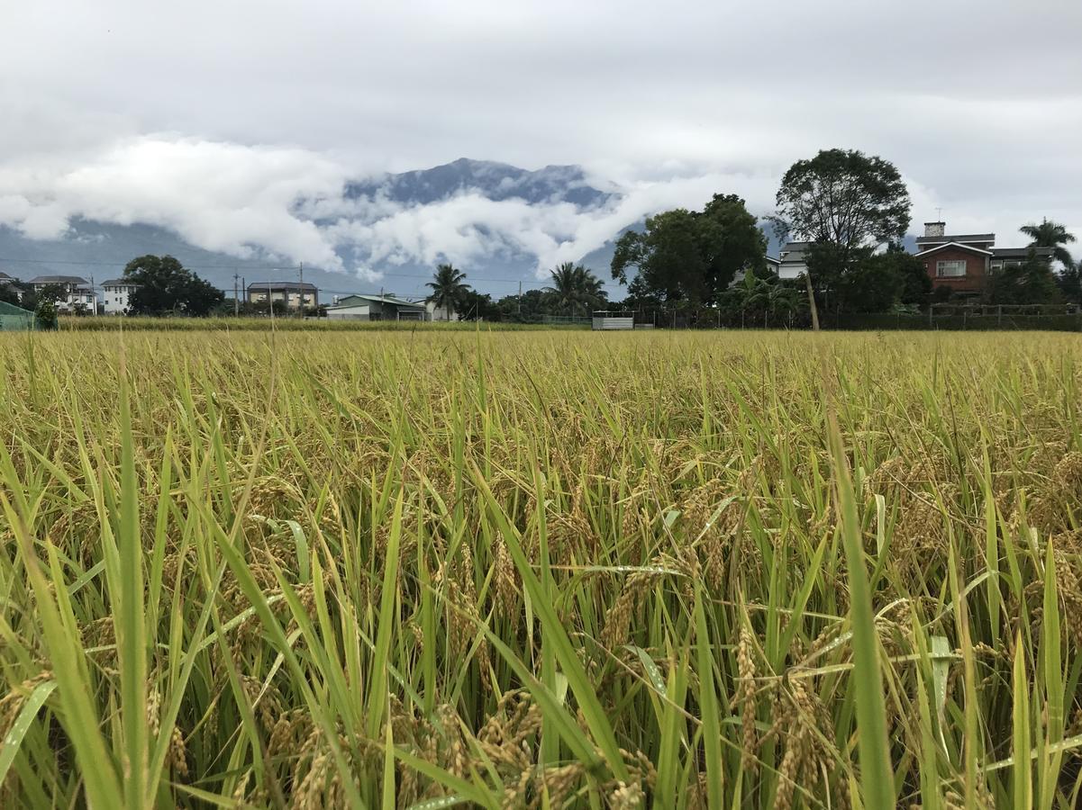 遊山水民宿一二館來電包棟可享優惠方案 Ji'an Buitenkant foto